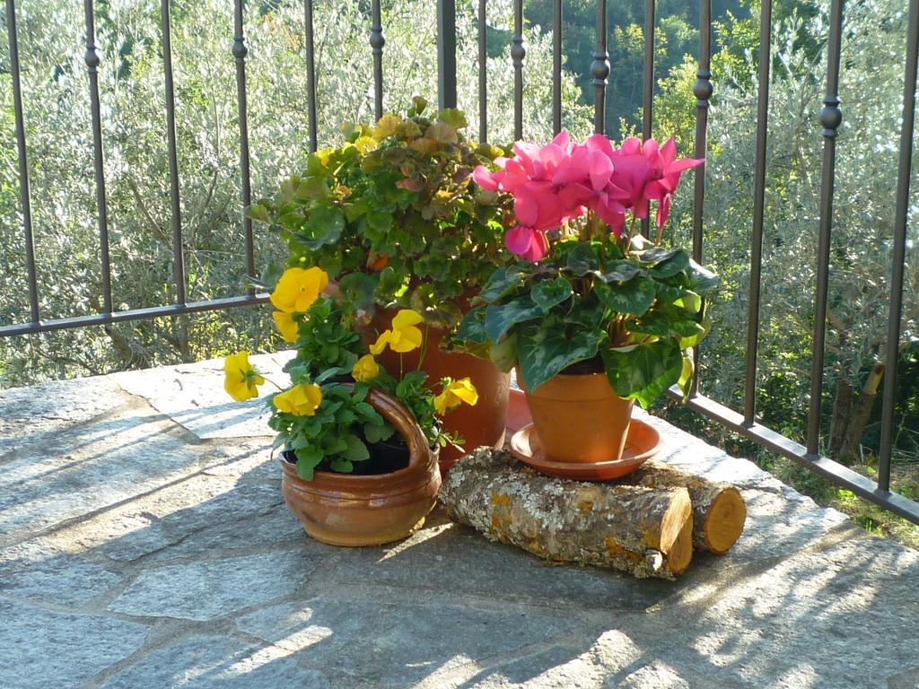 Villa Casa Giulia Reggello Habitación foto